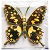 Image 1 : DECORATIVE BUTTERFLY PIN