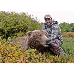 10 Day Wilderness Trophy Brown Bear / Grizzly Bear Hunt