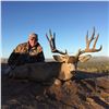 Image 1 :  Trophy Mule deer hunt in Mexico 180"-200" bucks