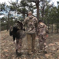  Colorado Turkey Hunt/ Shed Antler  Hunt  for 2 People
