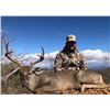 Image 1 : Trophy Coues Deer hunt in Mexico Fully Guided