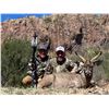Image 3 : Trophy Coues Deer hunt in Mexico Fully Guided
