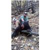 Image 1 : New Mexico Fall Bear hunt with hounds Fully Guided