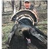 Image 2 : New Mexico Merriam Turkey hunt up to 2 birds