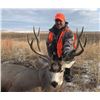 Image 2 : Nebraska Muzzleloader Mule Deer Hunt