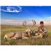 Image 1 : Archery Trophy Mule Deer hunt in Nebraska