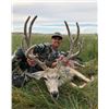 Image 2 : Archery Trophy Mule Deer hunt in Nebraska