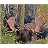 Image 1 : Alaskan Trophy 10- day Moose Hunt 2022 1 Person