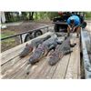 Image 2 : Florida Alligator up to 11'6""/ Hog Hunt