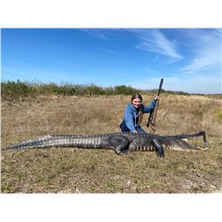 TROPHY Florida Alligator up to 12'11"/ Hog Hunt