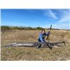 Image 1 : TROPHY Florida Alligator up to 12'11"/ Hog Hunt