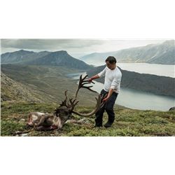 Greenland Musk OX and REINDEER Combo