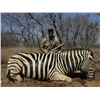 Image 1 : Exceed your African Dream! 4 Animals 1 Hunter
