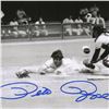 Image 2 : "Rose Diving Series" Framed Set of Autographed Archival Photographs Capturing Perhaps the Greatest D