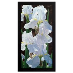 Brian Davis, "Enchanting Irises" Limited Edition Giclee on Canvas (18" x 36"), Numbered and Hand Sig