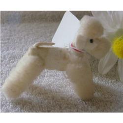 Doll Muffie Dog White Poodle Steiff 1950s #1503061