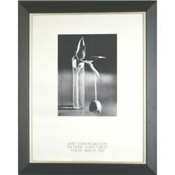 Kertesz  ?Melancholic Tulip ? gallery poster #1526310