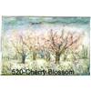 Image 1 : Cherr Blossoms  litho by Edna Hibel #1526641