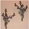 Image 1 : Pair of Wonderful French Bronze Sconces #1538220