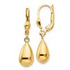 Image 1 : 14k Gold Polished Fancy Dangle Leverback Earrings