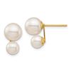 Image 1 : 14k Yellow Gold White Round Double Pearl Post Earrings - 5 & 7 mm