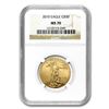Image 1 : 2010 1 oz Gold American Eagle MS-70 NGC