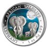 Image 1 : 2014 Somalia 1 oz Silver Elephant (Colorized)