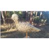 Image 2 : Antique Split Tail Massachusetts Shorebird Decoy