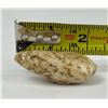 Image 8 : Alaskan Fossil Walrus Tooth Necklace Pendants