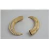 Image 2 : Pair of Boar Teeth From the South Pacific WW2