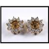 Image 1 : 14K Yellow Gold Diamond Earrings Jacket #1504670