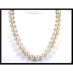 18 inches So Sea Pearl Necklace #1504808