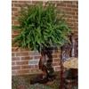 Image 1 : ANTIQUE RUSTIC RENAISSANCE TABLE PLANT STAND #1517826