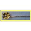 Image 1 : FLEUR GOLD TIE PIN - LALIQE FOREMAN BRIANCON  #1541056
