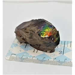 4)  41.7 GRAM NATURAL AMMOLITE MINERAL