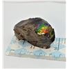Image 1 : 4)  41.7 GRAM NATURAL AMMOLITE MINERAL
