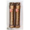 Image 1 : TWO BOTTLES OF BRAZILIAN BLOWOUT ACAI ANTI-FRIZZ
