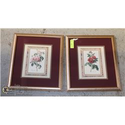 LOT OF 2 FLOWER PICTURE
