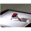 Image 1 : 22) 10 KARAT WHITE GOLD GARNET AND DIAMOND RING