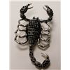 Image 1 : RHINESTONE SCORPIAN BROOCH WITH MOVING TAIL