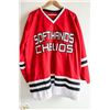 Image 2 : CHICAGO BLACKHAWKS SIGNED JERSERY,  COMES WITH JSA