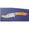 Image 1 : NEW BONE COLLECTOR STAINLESS STEEL GUT KNIFE