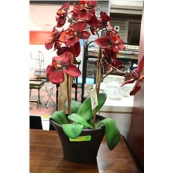 RED SILK ORCHID IN PLANT POT