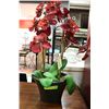 Image 1 : RED SILK ORCHID IN PLANT POT