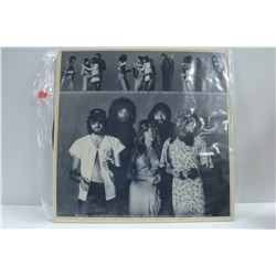 FLEETWOOD MAC RECORD RUMOURS