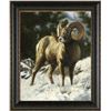 Image 1 : Dallen Lambson Wildlife Art Original Bighorn Sheep ' The Loner'