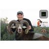 Image 6 : 4-day Iberian Mouflon Sheep Hunt with Eurohunts Spain S.L. - Spain is open for vaccinated Americans