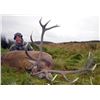 Image 1 : Scotland Red Stag hunt with International Adventures Unlimited