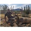 Image 3 : 8-day Monster Mexican Mule Deer hunt with HR Big Game Outfitters