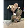Image 3 : Antelope/deer sized shoulder mount by Sundance Taxidermy Specialists